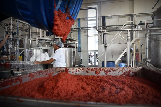 Lice Kooperatifi’nin hikayesi: Türkiye’de kooperatifçilik ve tarım politikalarının geleceği