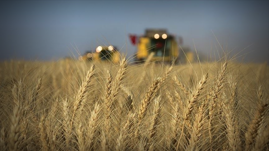 Tarım ÜFE, yıllık yüzde 106,77 arttı