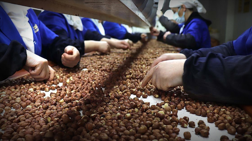 Türkiye, fındık ihracatında yaklaşık 1,2 milyar dolar gelir sağladı