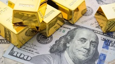 Altın ve döviz rezervi bir haftada 5,4 milyar dolar düştü