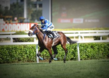 Gazi Koşusu’nu Urfa Aslanı kazandı