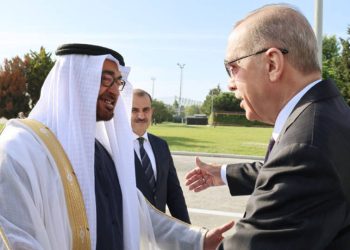 Cumhurbaşkanı Erdoğan ve BAE Devlet Başkanı Al Nahyan görüşmesinin detayları belli oldu