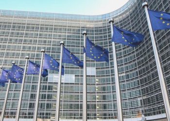 AB kabahat geliriyle çabayı artırıyor