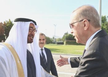 Cumhurbaşkanı Erdoğan, BAE Devlet Lideri Al Nahyan ile görüştü