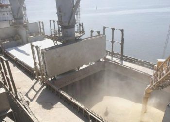 Lavrov: Karadeniz Tahıl Teşebbüsü sona erse de ihracat devam edecek