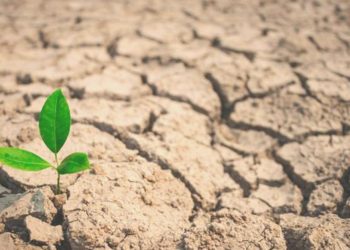 “Aşırı sıcaklar ziraî üretimi etkiliyor”