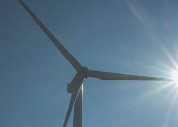 Enerjisa Güç “Herkes için Daha Âlâ Bir Gelecek” diyecek