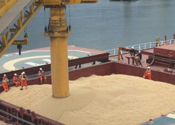 Mısır: Tahıl Koridoru’nda mutabakata dayalı tahlil bekliyoruz