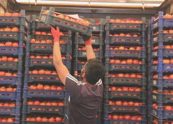 TCMB’ye nazaran minimum fiyat artışı enflasyonu ne kadar etkileyecek?