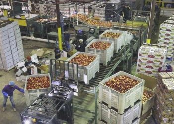 ABD’de toptan eşya stokları Haziran’da azaldı