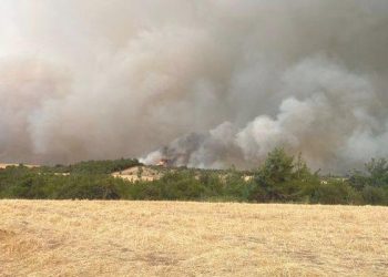 Çanakkale’de büyük orman yangını