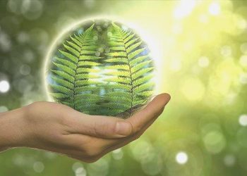 Altı yılda iktisada 96 milyar liralık yeşil katkı