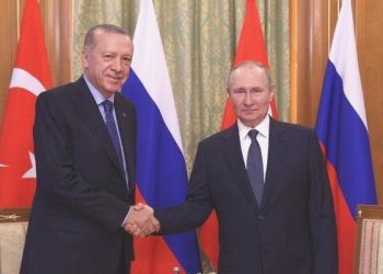 Cumhurbaşkanı Erdoğan Rusya Devlet Lideri Putin ile görüşecek