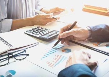 Ekonomistler OVP’yi nasıl buldu?