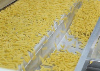 Selva Gıda’dan yatırım kararı