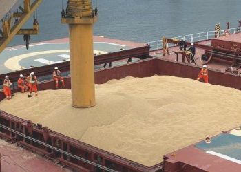 Zelenskiy’den tahıl ihracatı kısıtlamalarına reaksiyon