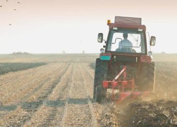 Ziraî üretimde arabuluculuk periyodu