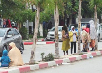 OECD: Göçmen istihdamı rekor düzeyde