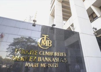 TCMB’den yeni faaliyet müsaadesi