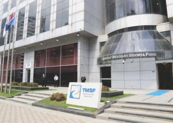 TMSF iki şirketi satışa çıkardı