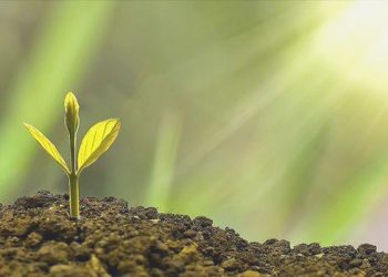 Avrupalı bankalar ‘yeşil finansman’ gayelerini tutturamadı