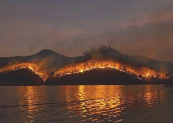 COP28 ile ilgili bilmeniz gerekenler