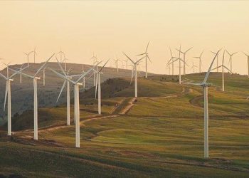 TPI/Serdar: Türkiye’nin rüzgarda potansiyeli yüksek