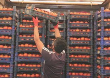 Türk Besin Kodeksi Bulaşanlar Yönetmeliği güncellendi