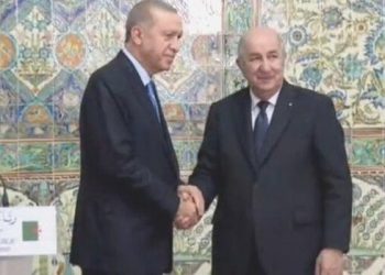 Türkiye ile Cezayir ortasında 12 mutabakat imzalandı