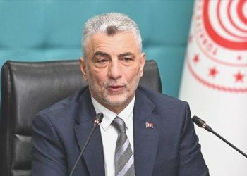 Bolat: Gümrük Birliği müzakereleri önümüzdeki yıl başlayabilir