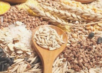 Dünya besin fiyatları Kasım’da değişmedi