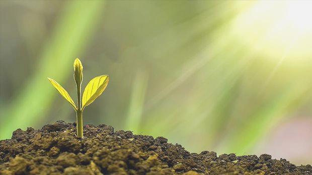 CDP İklim Değişikliği Programı’nda Türk bankasına yeni statü