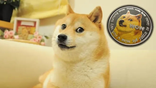 Dogecoin’in simgesi Kabosu hayatını kaybetti