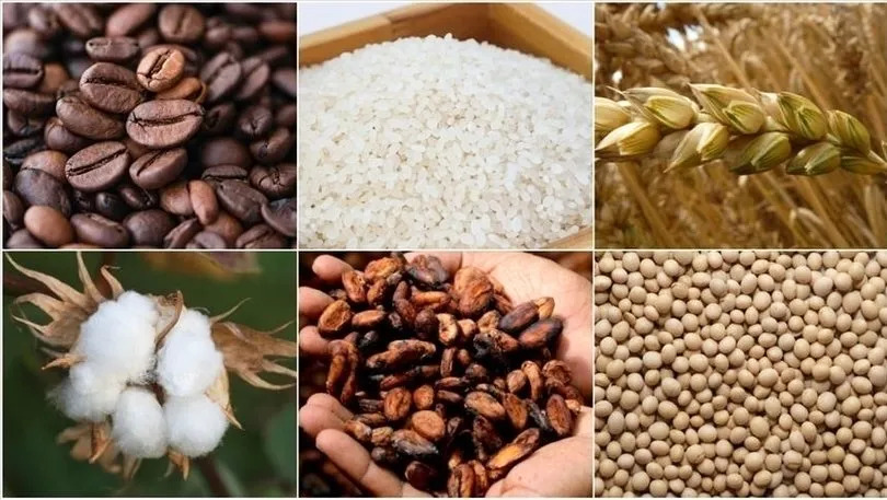 Emtia piyasasında yön arayışı