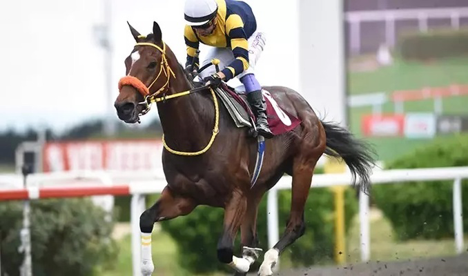 13.5 milyon lira ödüllü Gazi Koşusu yarın yapılacak