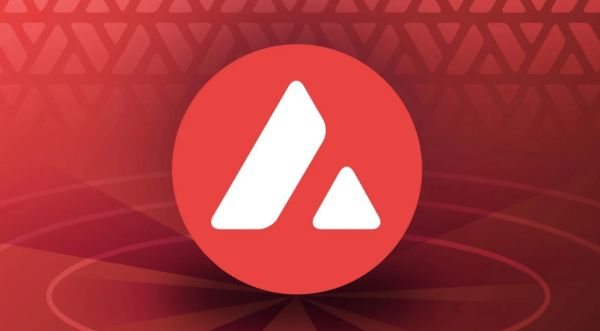 BtcTurk saldırısının ardından borsalara AVAX aktarıldı