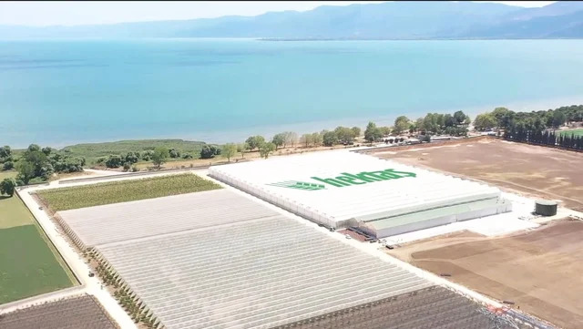 Hektaş ilk çeyrekte 269,5 milyon TL zarar açıkladı