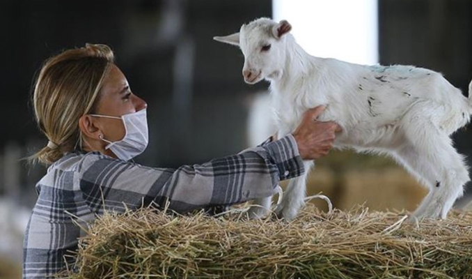 Yunanistan’da ‘veba’ tedbirleri