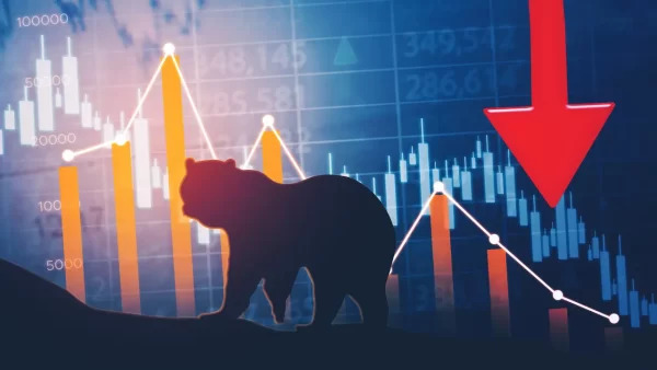 Ayı Piyasası (Bear Market) nedir?