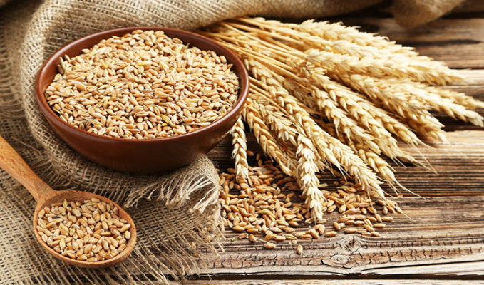 Buğday fiyatlarında ‘Kanada’ etkisi