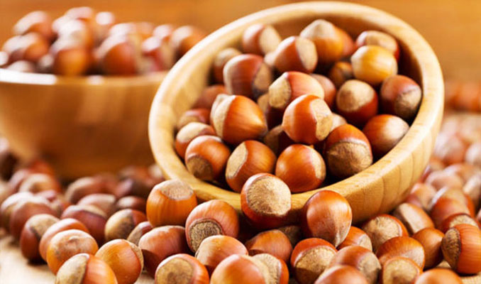 Fındık alım fiyatları belli oldu