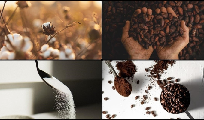 Emtia piyasasında zirve tırmanışı