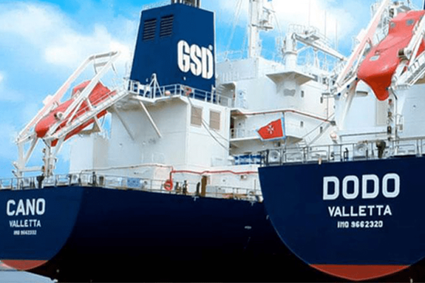 GSD Holding, ihale açıklaması yaptı