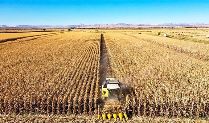 Tarımsal üretici fiyatları aylık yüzde 3.42 arttı