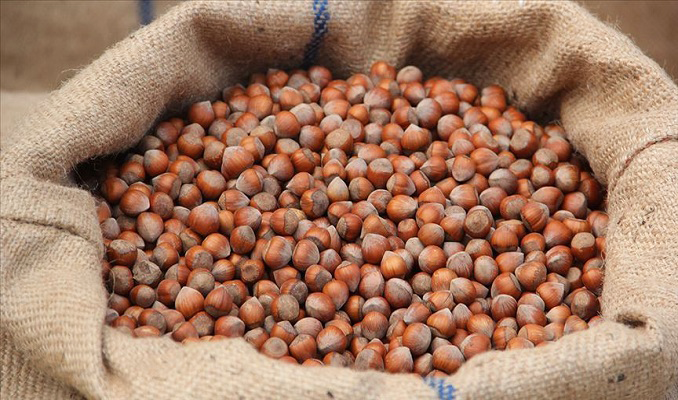 Ticaret borsalarında 403 bin ton fındık işlem gördü