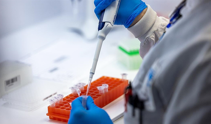 Afrika’da M çiçeği tehlikesi büyüyor