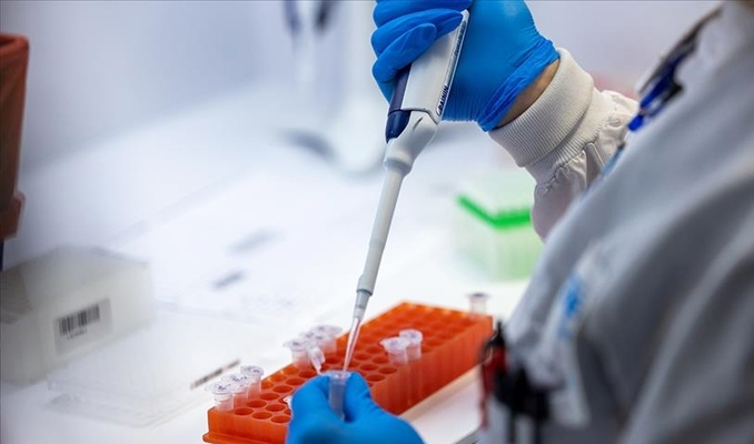 Gana’da bu yıl ilk kez M çiçeği vakası görüldü