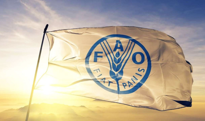 Gıda fiyatlarında 18 ayın en hızlı artışı