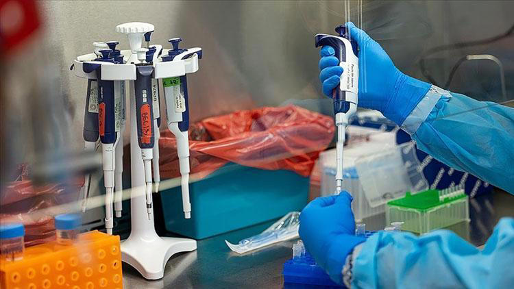 İngiltere’de ilk kez M çiçeği varyantı tespit edildi