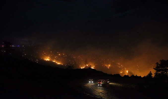 Muğla’da ormanlık alanda yangın
